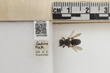 Media type: image;   Entomology 791088 Aspect: Labels